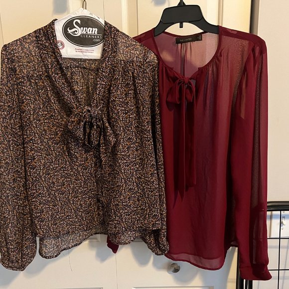 Two Blouses - Picture 1 of 6